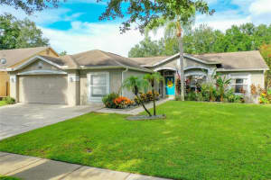 10111 DEEPBROOK DR, RIVERVIEW, FL 33569 Sold 11/18/22