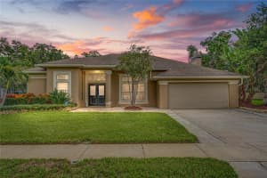 9005 TARAWYND CT, ODESSA, FL 33556 Sold 01/07/23