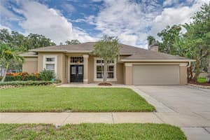 9005 TARAWYND CT, ODESSA, FL 33556 Sold 01/07/23
