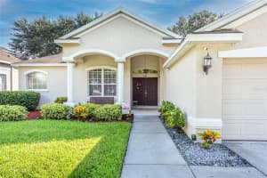 12904 CATTAIL SHORE LN, RIVERVIEW, FL 33579 Sold 11/28/22