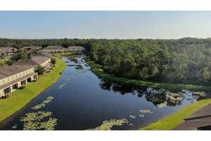 8535 TRAIL WIND DR, TAMPA, FL 33647 Sold 01/31/23