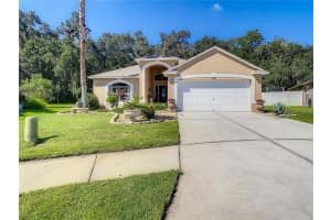 4623 BARCHETTA DR, LAND O LAKES, FL 34639 Sold 10/12/22