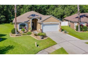 4623 BARCHETTA DR, LAND O LAKES, FL 34639 Sold 10/12/22
