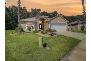 4623 BARCHETTA DR, LAND O LAKES, FL 34639 Sold 10/12/22