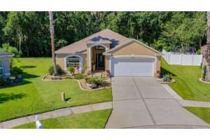4623 BARCHETTA DR, LAND O LAKES, FL 34639 Sold 10/12/22