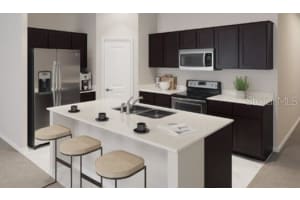 26067 BRISTLELEAF CT, LEESBURG, FL 34748 Sold 02/10/23