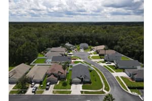 25400 BRUFORD, LAND O LAKES, FL 34639 Sold 01/18/23