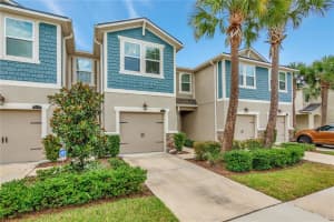 11680 CAMBIUM CROWN DR, RIVERVIEW, FL 33569 Sold 11/21/22