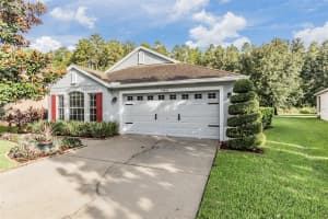19450 SUNSET BAY DR, LAND O LAKES, FL 34638 Sold 10/31/22