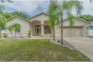 9204 GRAND PALM CT, RIVERVIEW, FL 33578 Sold 11/04/22