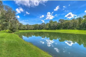 15127 DEER MEADOW DR, LUTZ, FL 33559 Sold 10/24/22
