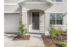 10218 OPALINE SKY PL, RIVERVIEW, FL 33578 Sold 03/14/23