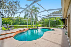643 EQUINE DR, TARPON SPRINGS, FL 34688 Sold 11/22/22