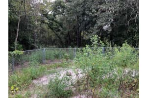 9255 GROUSE WAY, HUDSON, FL 34669 - MLS#MFRT3403003