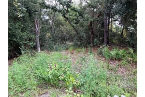 9255 GROUSE WAY, HUDSON, FL 34669 - MLS#MFRT3403003