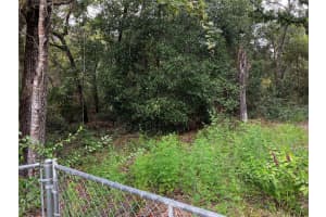 9255 GROUSE WAY, HUDSON, FL 34669 - MLS#MFRT3403003