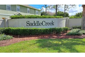 27556 PLEASURE RIDE LOOP, WESLEY CHAPEL, FL 33544 Sold 11/14/22