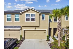 17607 LEDGER LINE LN, LUTZ, FL 33558 Sold 03/31/23