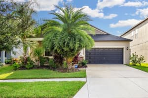 13915 ROSEATE TERN LN, RIVERVIEW, FL 33579 Sold 01/10/23