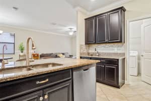 13915 ROSEATE TERN LN, RIVERVIEW, FL 33579 Sold 01/10/23