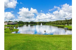 18825 BIRCHWOOD GROVES DR, LUTZ, FL 33558 Sold 12/15/22