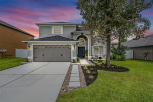 31111 Bridgegate Dr, Wesley Chapel, FL 33545, Sold 11/02/22