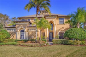 3828 Ivydale Ct, Land O' Lakes, FL 34638, Sold 03/07/23