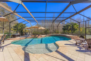 3828 Ivydale Ct, Land O' Lakes, FL 34638, Sold 03/07/23