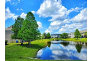 12351 Country White Cir, Tampa, FL 33635, Sold 10/31/22