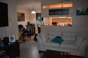 5616 PINNACLE HEIGHTS CIR #305, TAMPA, FL 33624 Sold 03/31/23