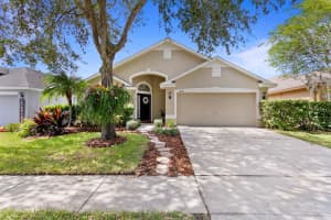 12229 COLDSTREAM LN, TAMPA, FL 33626 Sold 11/15/22