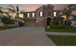 2915 SHETLAND RIDGE DR, VALRICO, FL 33596 Sold 06/30/23