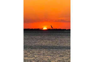 2700 Bayshore Blvd, Dunedin, FL 34698, Sold 12/30/22