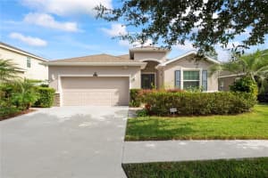 23875 CAMPANIA PASS, LAND O LAKES, FL 34639 Sold 11/30/22