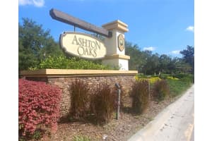 3702 Ashton Oaks Blvd, Wesley Chapel, FL 33543, Sold 12/23/22