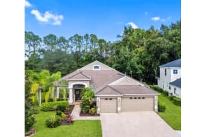 10543 Canary Isle Dr, Tampa, FL 33647, Sold 11/21/22
