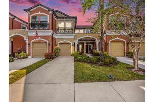 11674 CROWNED SPARROW LN, TAMPA, FL 33626 Sold 01/25/23