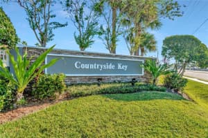246 COUNTRYSIDE KEY BLVD, OLDSMAR, FL 34677 Sold 12/09/22
