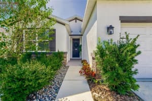 10613 SCENIC HOLLOW DR, RIVERVIEW, FL 33578 Sold 11/30/22