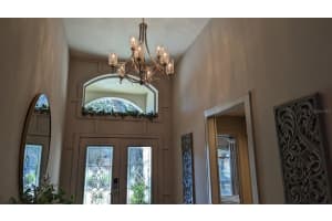 19826 MORDEN BLUSH DR, LUTZ, FL 33558 Sold 02/17/23