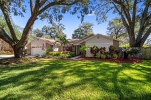 222 HALTON CIR, SEFFNER, FL 33584 Sold 12/08/22