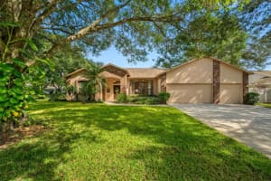 2728 BENT LEAF DR, VALRICO, FL 33594 Sold 02/15/23
