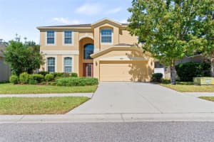 18323 DAJANA AVE, LAND O LAKES, FL 34638 Sold 03/15/23