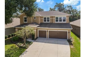 1023 TRACEY ANN LOOP, SEFFNER, FL 33584 Sold 03/13/23