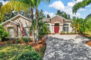 1003 EMERALD HILL WAY, VALRICO, FL 33594 Sold 03/22/23