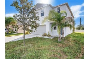 10251 BOGGY MOSS DR, RIVERVIEW, FL 33578 Sold 03/03/23