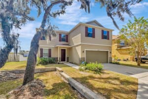 11127 HARTFORD FERN DR, RIVERVIEW, FL 33569 Sold 03/02/23