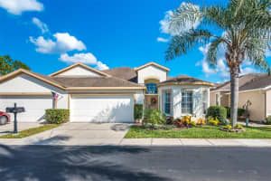 10033 BUCKLIN ST, TAMPA, FL 33625 Sold 02/10/23