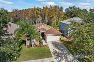 15647 Leatherleaf Ln, Land O' Lakes, FL 34638, Sold 02/10/23