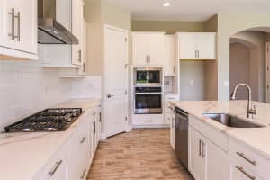 13019 PADDOCK WOOD PL, RIVERVIEW, FL 33579 Sold 05/26/23